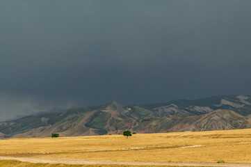 A yellow sloping field in the mountains against a dramatic gray cloudy sky.