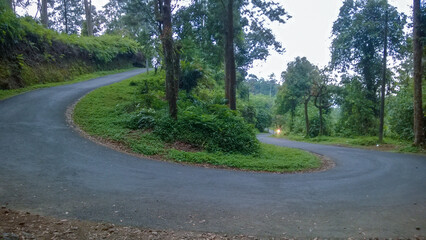 Fototapeta premium winding road in the forest