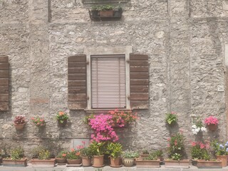 Fototapeta na wymiar windows and flowers