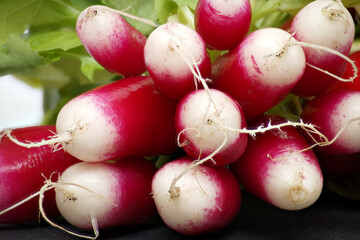 Bunch of fresh radishes with green leaves