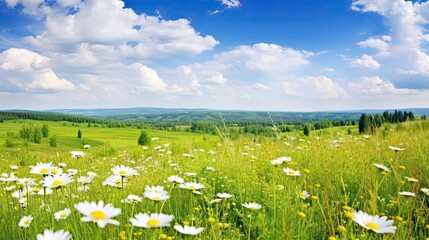 Beautiful pastoral natural spring summer landscape