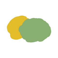 illustration of brain colors green and yellow isolated on white background