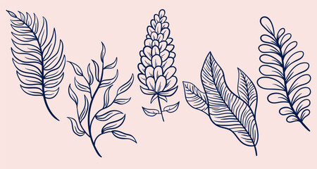 Aesthetics hand drawn floral line art vector collections