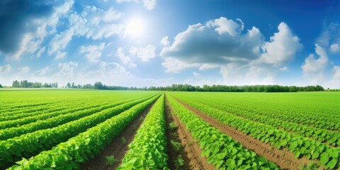 A verdant, sunlit field of thriving crops. Generative AI