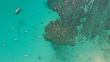 Coral reefs in Kata Beach Phuket Thailand