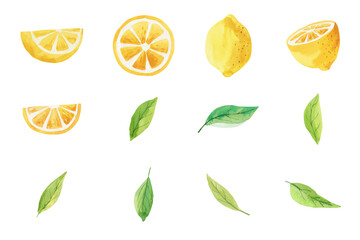 Vector watercolor illustration of lemons and leaves.
