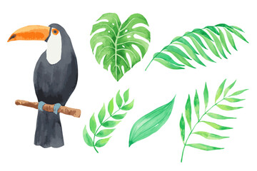 Vector watercolor illustration of tocotucan and tropical leaves.