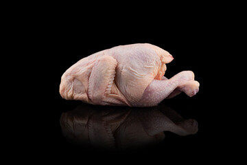 Fresh raw chicken isolated on black background with clipping path. Side view. Whole fresh chicken isolated.