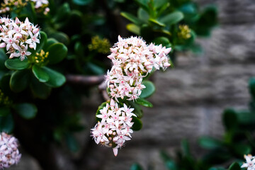 LANDSCAPES AND HISTORY