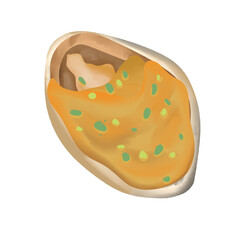 Seafood illustration, cartoon style, light color