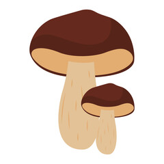 Mushroom Weed