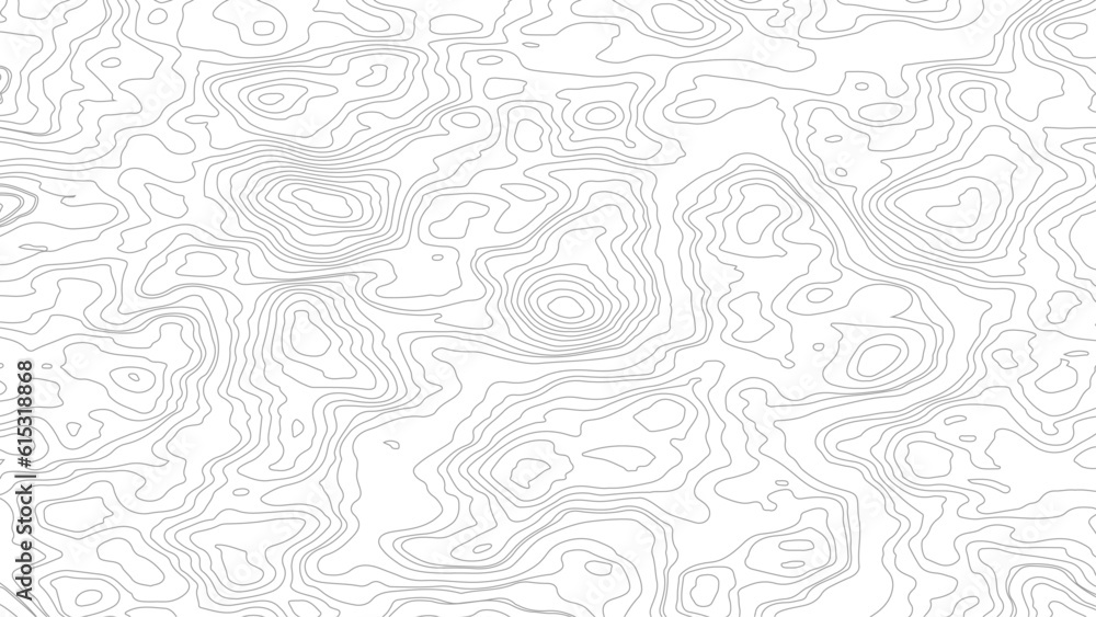 Poster the stylized height of the topographic contour in lines and contours. vector topography map with gra