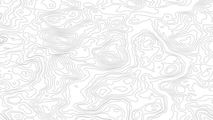 The stylized height of the topographic contour in lines and contours. Vector topography map with gray background
