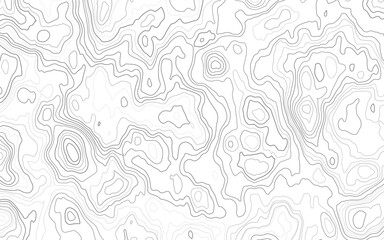 Contour vector abstract vector illustration. Geographic world topography.