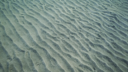 Sandy bottom covered with sand hills,  Natural background from the underwater depth, Red sea, Egypt