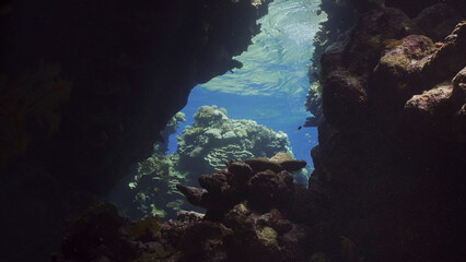 Sunshine penetrate the underwater coral cave and illuminate it. Tropical fish swim inside coral caves in the sunrays penetrating from the surface, Red sea, Egypt