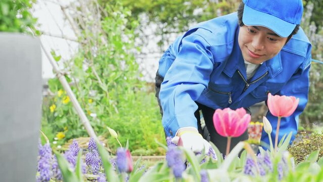 花畑を管理する男性作業員
