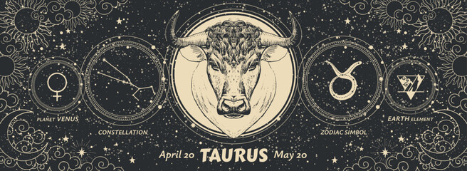 Taurus zodiac sign, vintage astrology graphic banner on mystical starry black background, horoscope. Modern realistic hand drawn vector illustration.