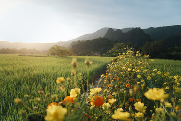 Fototapeta premium Hill village on Thailand's mountain