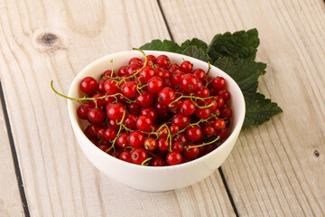 Ripe sweet organic red currant heap