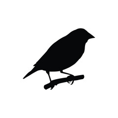 gouldian finch bird icon vector