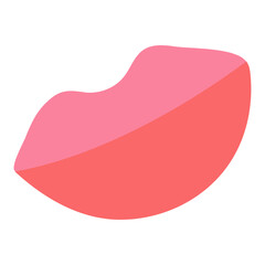 colored summer elements collection