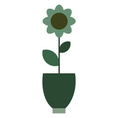 Collection of exotic plants.