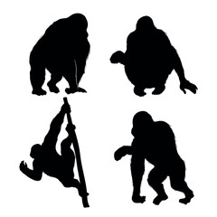 orangutan animal silhouette collection © Suka