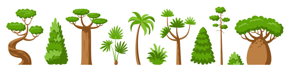Flat trees and bush set. Deciduous and evergreen tropical stylized eco plants side view. Spruce maple baobab palm sequoia dracaena cypress thuja pine oak acacia. Cartoon green forest arboretum garden