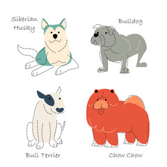 Dog breeds Set 3 . Flat shape and pencil line drawing design . Vector .