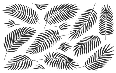 Tropical palm leaves. Jungle foliage black silhouette set isolated on white. Exotic nature plant leaf for wedding greeting cards foil DIY laminating wrappers. Hand drawn tropic summer floral stamp