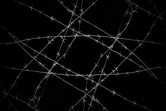 Old security barbed wire isolated on black background. Sharp military security fence. Closeup image. crossed Lines of barbed wire on black background. concentration camp