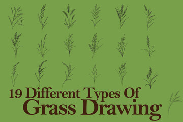 different grass and flower drawing in line art , editable