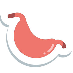 human anatomy stickers