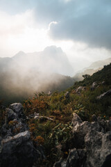 Trekking in Thailand's mountain 