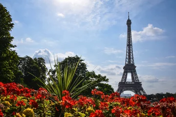 Fotobehang Eiffel Tower on a Flowerbed - Paris, France © Pedro