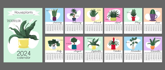 Colorful calendar 2024 in vertical A4, A3 format. Week starts on Monday. Calendar for 2024 by months with cover, with color spots and home plants. Houseplants calendar isolated on grey background.
