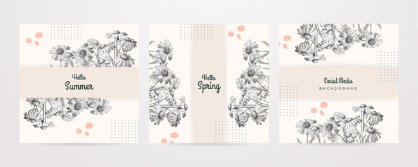 Vector hello spring background summer spring floral flower colourful colorful social media template