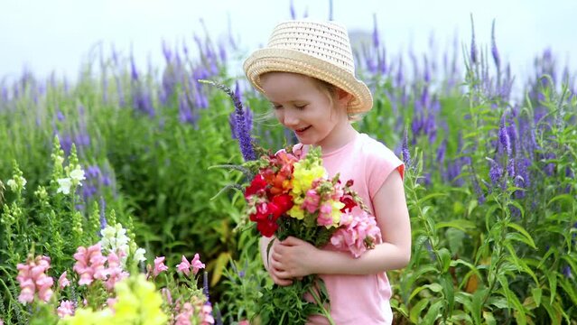 Adorable girl picking beautiful antirrhinum flowers on farm. Outdoor summer activities for little kids