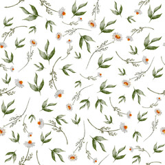 Wildflowers. Watercolor seamless pattern with flowers. Pattern with forest herbs.