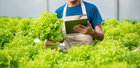 Smart farmer using application by tablet concepts modern vegetables and gardening lettuce at...