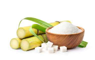 White granulated sugar and cubes with sugar cane stalks and leaves isolated on white background.