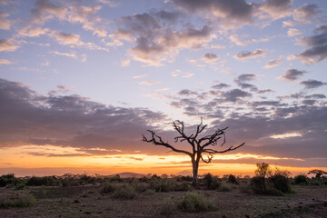 Sunset at the Amboseli National Park, Kenya, Africa