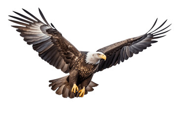 Bald Eagle Flying on a Transparent Background. AI