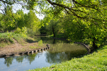 A river in the summer park. Forest river in summer. Summer forest river landscape.