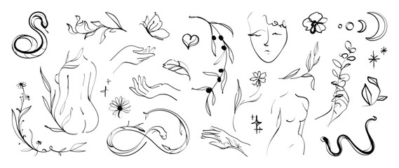 Fototapeta na wymiar Minimal hand drawn line art vector set. Aesthetic line art design with woman body, face, hands, butterflies, leaves, flower, snake, moon. Abstract drawing for wall art, decoration, wallpaper, tattoo.
