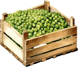 Fototapeta na wymiar Beauty and Nutritional Richness of Peas through this Stunning Box Illustration