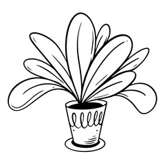 Home interior plant in a pot. Line art black color vector art