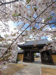 第七十六番札所・金倉寺（こんぞうじ）【香川県善通寺市金蔵寺町】2