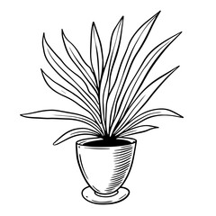 Hand draw black color home plant in a pot.